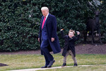 Президент США Дональд Трамп с сыном Илона Маска X в Белом доме в Вашингтоне, округ Колумбия, США, 14 марта 2025 года