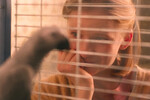 <b>«Мальчик-птица», реж. Савелий Осадчий</b>
<br><br>
<b>Где и когда смотреть:</b> неизвестно
<br><br>
Несмотря на символическую разницу с российским заголовком последнего мультфильма Хаяо Миядзаки, картина «Мальчик-птица» меньше всего походит на добрую сказку японского старца. Дебютант Савелий Осадчий выпорхнул из-под крыла Ивана И. Твердовского — сына документалиста Твердовского, выпускника мастерской Алексея Учителя и режиссера, у которого к 36 годам так и не вышло избавиться от прилагательного «молодой»: ни с помощью драмы «Конференция» про «Норд-Ост», ни с помощью постдокументального проекта «Реверс», снятого в Донбассе в 2024 году. «Мальчик-птица» во многом близок его безжалостным «Подбросам», но одновременно вызывает в памяти кинематограф фестивального любимца Романа Михайлова: в кадр старающегося оператора Григория Розанова лезет много оранжевого и желтого, лента в целом как бы тянется к божественной благодати… но нирваны не достигает.