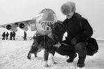 Участники высокоширотной воздушной экспедиции «Север-40» прибыли на самолете Ил-76, впервые совершившем посадку на Землю Франца-Иосифа, 1988 год