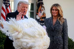 Президент США Дональд Трамп и его супруга Меланья во время церемонии помилования в Белом доме, 24 ноября 2020 года