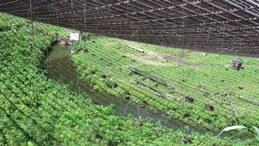 Радиотелескоп &laquo;Аресибо&raquo;, 2013 год