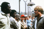<b>«Брубейкер» (1980) </b>
<br><br>
Другим фильмом на реальных событиях с участием Редфорда стал «Брубейкер» Стюарта Розенберга. Остросюжетная драма рассказывает о начальнике тюрьмы, приложившем усилия для устранения пыток и издевательств над заключенными. Однако скоро его реформы встречают сопротивление со стороны членов администрации, которым не пришлась по душе идея перевоспитывать преступников. Фильм удостоился «Оскара» за лучший оригинальный сценарий. 