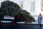 Меланья Трамп во время встречи главной ели для&nbsp;Белого дома, 23 ноября 2020 года 