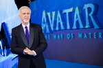 <b>Режиссер Джеймс Кемерон</b> ($95 млн)