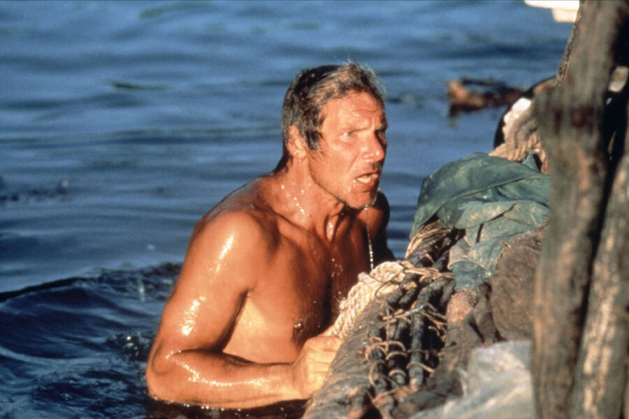 <b>«Берег москитов» (1986) </b>
<br><br>
Вышедшая годом позже экранизация одноименного романа Пола Теру только закрепила позиции Форда. Актер исполнил роль одержимого изобретателя, который в&nbsp;погоне за&nbsp;научными открытиями перевозит всю свою семью на&nbsp;Берег москитов &mdash; территорию в&nbsp;Центральной Америке. Передислокация героя и его семьи оборачивается настоящей трагедией. Картина принесла Форду вторую номинацию на&nbsp;«Золотой глобус».
В&nbsp;2021 году на&nbsp;экраны вышел одноименный сериальный ремейк фильма с&nbsp;Джастином Теру (актер является племянником автора романа) в&nbsp;главной роли.
