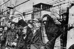 За все годы существования комплекса Освенцим было всего лишь 300 удачных попыток побега