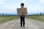 <b>«Мальчик» (2010)</b>
<br><br>
Еще один приз Берлина в копилке Вайтити. «Мальчик» на момент выхода являлся самым кассовым фильмом в истории Новой Зеландии и рассказывал об 11-летнем ребенке (которого все так и называют — Мальчик), в чью жизнь внезапно врывается ушедший когда-то за хлебом отец.