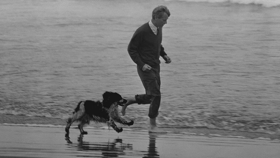 Сенатор Роберт Кеннеди со своим псом Фреклзом на&nbsp;пляже в&nbsp;Астории, штат Орегон, во время президентской кампании, 24 мая 1968 года