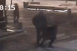 Кадр из видео драки актера Максима Виторгана и режиссера Константина Богомолова на улице в центре Москвы