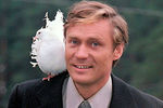 Александр Михайлов в картине «Любовь и голуби» (1984)