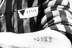С 2005 года по решению ООН 27 января отмечается Международный день памяти жертв холокоста