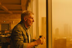 <b>«Бегущий по лезвию 2049» (2017) </b>
<br><br>
Кажется, что Форд просто не готов расстаться со своими культовыми работами. В сиквеле «Бегущего по лезвию» Дени Вильнева 2017 года он опять вернулся к роли Рика Декарда, хоть и уступил большую часть экранного времени более молодому Райана Гослинга. Получился трогательный подарок для фанатов франшизы и финальный выход Форда в рамках фантастического мира «Бегущего по лезвию».
