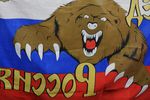 Флаг болельщика матча группового этапа чемпионата мира по хоккею 2017 между сборными командами Италии и России.