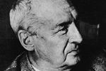 Русский и американский писатель, поэт, переводчик, литературовед и энтомолог Владимир Владимирович Набоков (1899–1977)