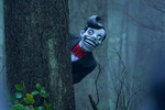 <b>«Фамильяр», 11 сезон, 8 серия</b>
<br><br>
Можно по-разному относиться к двум сезонам ребута «Секретных материалов», но свои крутые моменты там в любом случае были. Один из них — эпизод «Фамильяр», где вернувшиеся в ФБР Малдер и Скалли берутся за дело о жестоком нападении на ребенка в лесах Коннектикута, в котором сначала подозревают диких животных, а потом — более зловещие сущности. Вроде одержимого чем-то крайне нехорошим игрушечного клоуна Мистера Хохотуна, вполне способного дать фору Аннабель из вселенной «Заклятия».
