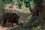 <b>«Взвод» (1987)</b>
<br><br>
Во второй части трилогии Стоуна о войне во Вьетнаме — ленте «Рожденный четвертого июля» — Уиллем Дефо также сыграл.