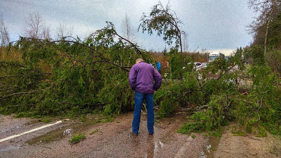 Последствия штормового ветра в&nbsp;Наро-Фоминском районе в&nbsp;Подмосковье, 21 апреля 2018 года