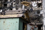 Житель Мариуполя у своей голубятни в центральном районе города, 3 ноября 2022 года