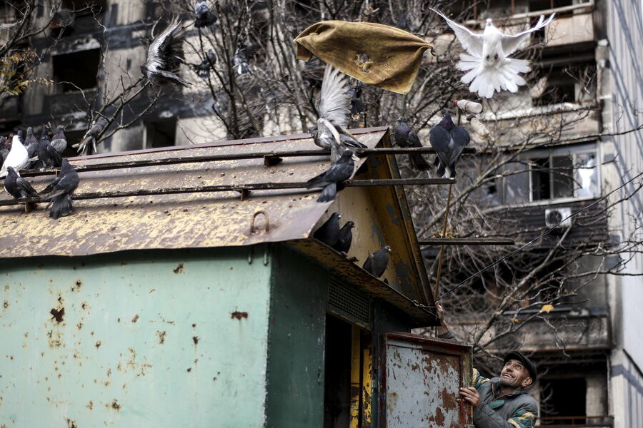 Житель Мариуполя у&nbsp;своей голубятни в&nbsp;центральном районе города, 3&nbsp;ноября 2022&nbsp;года