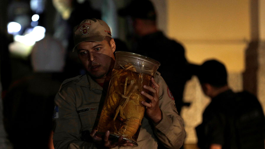 Пожарный спасает экспонаты из&nbsp;Национального музея Бразилии в&nbsp;Рио-де-Жанейро