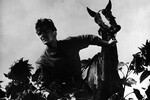 Кадр из фильма «Необыкновенное лето» режиссера Владимира Басова, 1956 год