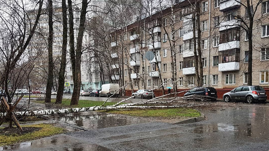 Последствия штормового ветра в&nbsp;Лосиноостровском районе, Москва, 21 апреля 2018 года
