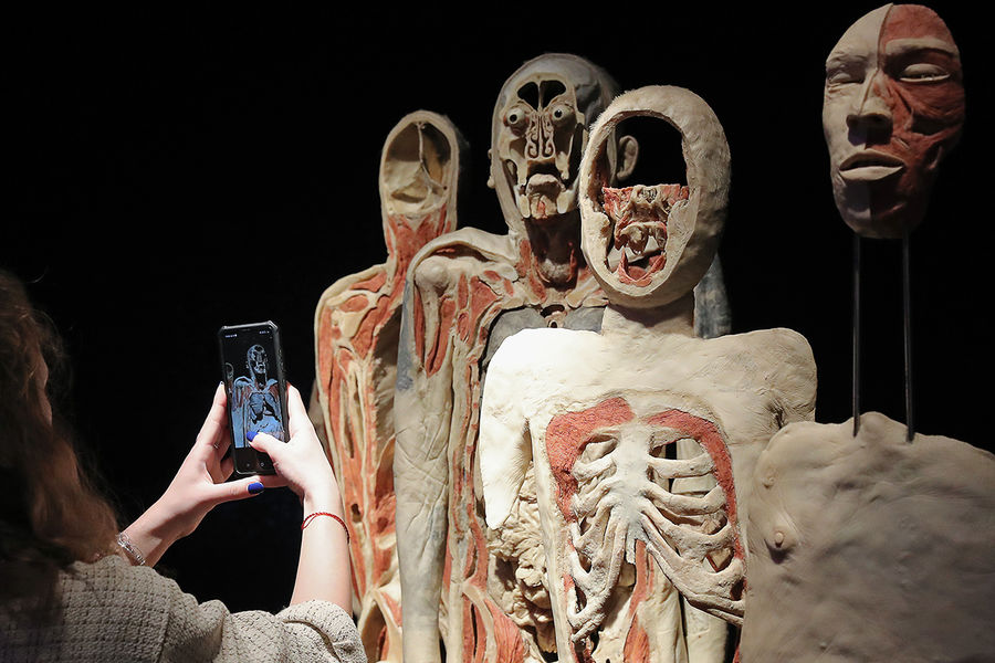 Экспонаты анатомической выставки доктора Гюнтера фон Хагенса &laquo;Мир тела&raquo; (Body Worlds) на&nbsp;ВДНХ в&nbsp;Москве