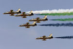 Авиационная пилотажная группа ВВС ОАЭ Al Fursan во время выступления на Dubai Airshow 2015