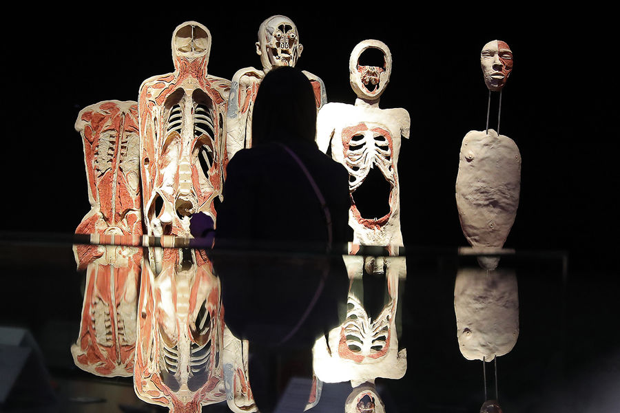 Экспонаты анатомической выставки доктора Гюнтера фон Хагенса &laquo;Мир тела&raquo; (Body Worlds) на&nbsp;ВДНХ в&nbsp;Москве