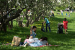 Горожане отдыхают в&nbsp;яблоневом саду в&nbsp;московском музее-заповеднике &laquo;Коломенское&raquo;