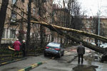 Последствия сильного ветра на улице 7-я Парковая на востоке Москвы, 21 апреля 2018 года