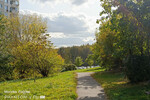 Фото днем с основной камеры