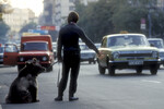 Мужчина с медведем ловит такси на Садовом кольце в Москве, 1991 год