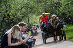 Горожане отдыхают в&nbsp;яблоневом саду в&nbsp;московском музее-заповеднике &laquo;Коломенское&raquo;