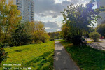 Фото днем с основной камеры (2х)