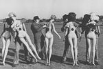 Кадр из фильма «Монти Пайтон: а теперь нечто совсем другое», 1971 год