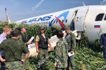 На месте аварийной посадки самолета A321 «Уральских авиалиний» в Подмосковье, 15 августа, 2019 года