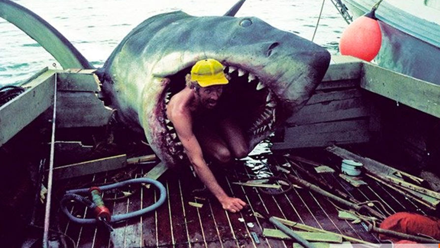 Сцены на&nbsp;корабле во второй части картины были сняты преимущественно с&nbsp;рук, чтобы лучше передать волнение моря. Спилберг впоследствии даже шутил, что «Челюсти» стали самым дорогим фильмом, из&nbsp;когда-либо снятых ручной камерой.