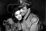 <b>Майра Лестер – «Мост Ватерлоо» (1940)</b>
<br><br>
Американский фильм «Мост Ватерлоо» — ремейк одноименной картины 1931-го по пьесе с тем же названием — Вивьен Ли, как и ее партнер по съемочной площадке Роберт Тейлор, называли своим любимым. Военная драма повествует о трагической судьбе девушки, в годы Первой мировой войны полюбившей солдата, которого повстречала в Лондоне на мосту Ватерлоо. Ожидая жениха с фронта, она видит его имя в газете в списке погибших.
