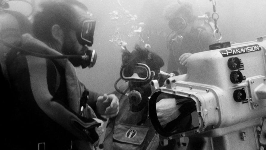 Съемки фильма начались в&nbsp;мае 1974 года на&nbsp;острове Мартас-Винъярд, штат Массачусетс, и должны были завершиться за&nbsp;55 дней. Однако в&nbsp;итоге работа над&nbsp;проектом заняла втрое больше времени.