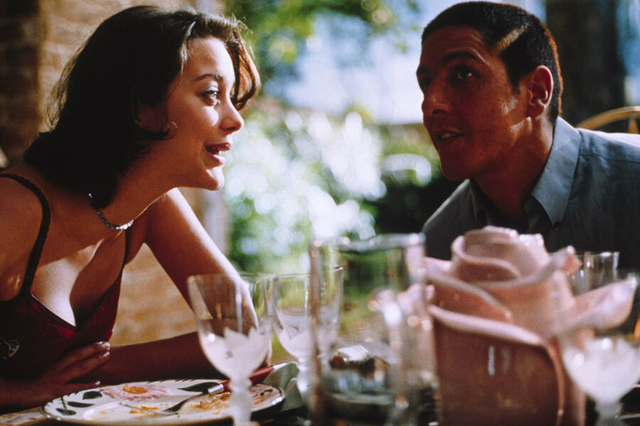 <b>«Такси» (1998), «Такси 2» (2000), «Такси 3» (2003)</b>
<br><br>
Вышедший в&nbsp;1998 году комедийный боевик «Такси» стал основой одной из&nbsp;самых коммерчески успешных франшиз во французском кино. Харизматичный таксист Даниэль, обаятельно нарушающий правила дорожного движения (Сами Насери), неуклюжий полицейский Эмильен, неспособный добиться успеха без&nbsp;помощи друга (Фредерик Дифенталь), очаровательная невеста таксиста Лили (Марион Котийяр) &ndash; благодаря такому трио картина была обречена на&nbsp;успех.
Продюсером и автором сценария «Такси» был Люк Бессон, вынашивавший идею фильма еще во время съемок «Пятого элемента». Неудивительно, что франшиза вышла милой, динамичной, остроумной. Марион Котийяр сыграла Лили в&nbsp;трех лентах серии. Впрочем, в&nbsp;последнем фильме (а всего их пять) 2018&nbsp;года нет уже не только Лили, но и Даниэля с&nbsp;Эмильеном.

