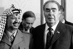 Встреча Леонида Ильича Брежнева с председателем исполкома Организации освобождения Палестины (ООП) Ясиром Арафатом, прибывшим в СССР с официальным визитом, 1981 год