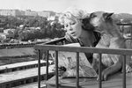 Актриса Тамара Носова с собакой на балконе, 1963 год