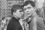 <b>На фото: Алексей Локтев и Никита Михалков в фильме Георгия Данелии «Я шагаю по Москве».</b>
<br>
Локтев среди других главных актеров фильма считался почти стариком: ему было уже 23 года, они ровесники с Галиной Польских (исполнительницей роли Алены), Михалкову и Стеблову — по 18. Правда, Стеблов к моменту съемок был уже второкурсником «Щуки», но эта роль стала его первой в кино. А 18-летний Михалков, даром, что еще не знал, куда поступать (в итоге все равно пошел в ту же «Щуку», а уже оттуда — во ВГИК), имел за плечами три фильма, хотя главной партии ему прежде никто не доверял. Впоследствии Михалков-режиссер не раз приглашал Стеблова сниматься, тот сыграл в «Рабе любви», «Обломове» и «Сибирском цирюльнике». А еще они вместе оказались в «Собаке Баскервилей», самом звездном эпизоде «Шерлока Холмса». У Михалкова в общей сложности более сорока ролей, из которых существенная часть – в его собственных картинах. Кстати, с Локтевым и Польских он с тех пор так больше и не работал.