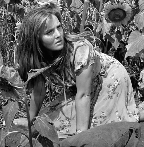 Актриса Жанна Прохоренко в сцене из фильма «Они шли на Восток», 1963 год