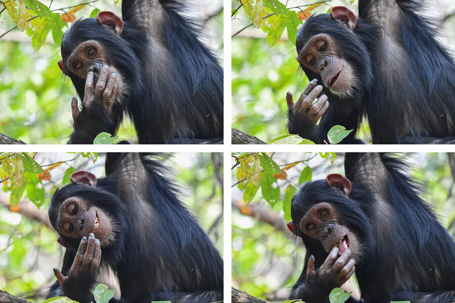 <b>Мэгги Хоффман</b>. «Тот самый вкус»
<br><br>
Победитель в&nbsp;категории «Портфолио»
