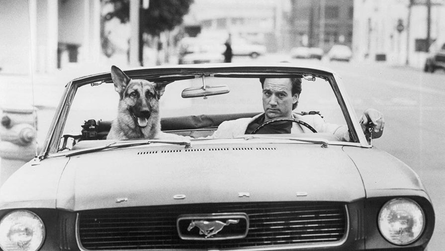 Джеймс Белуши в фильме «K-9» (1989)