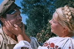 Кадр из фильма «Свадьба в Малиновке» (1967)