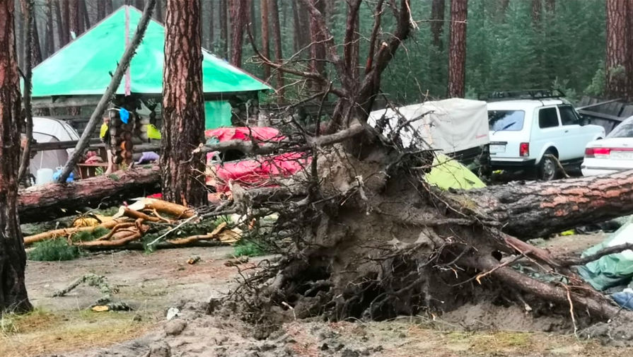 Последствия падения деревьев у озера Маслеево в Дзержинском районе Красноярского края, 5 июля 2020 года