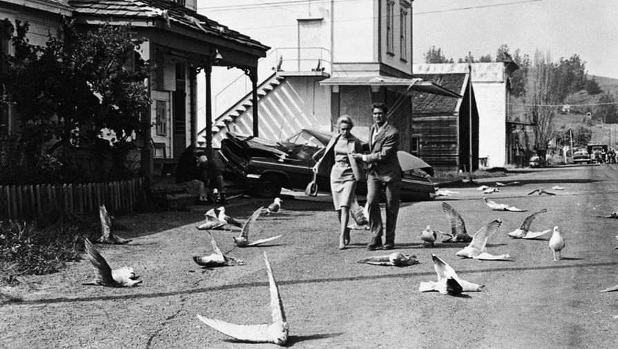 Кадр из фильма «Птицы» (1963)